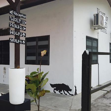 House Of Wolves Hostel Pantai Cenang  Esterno foto