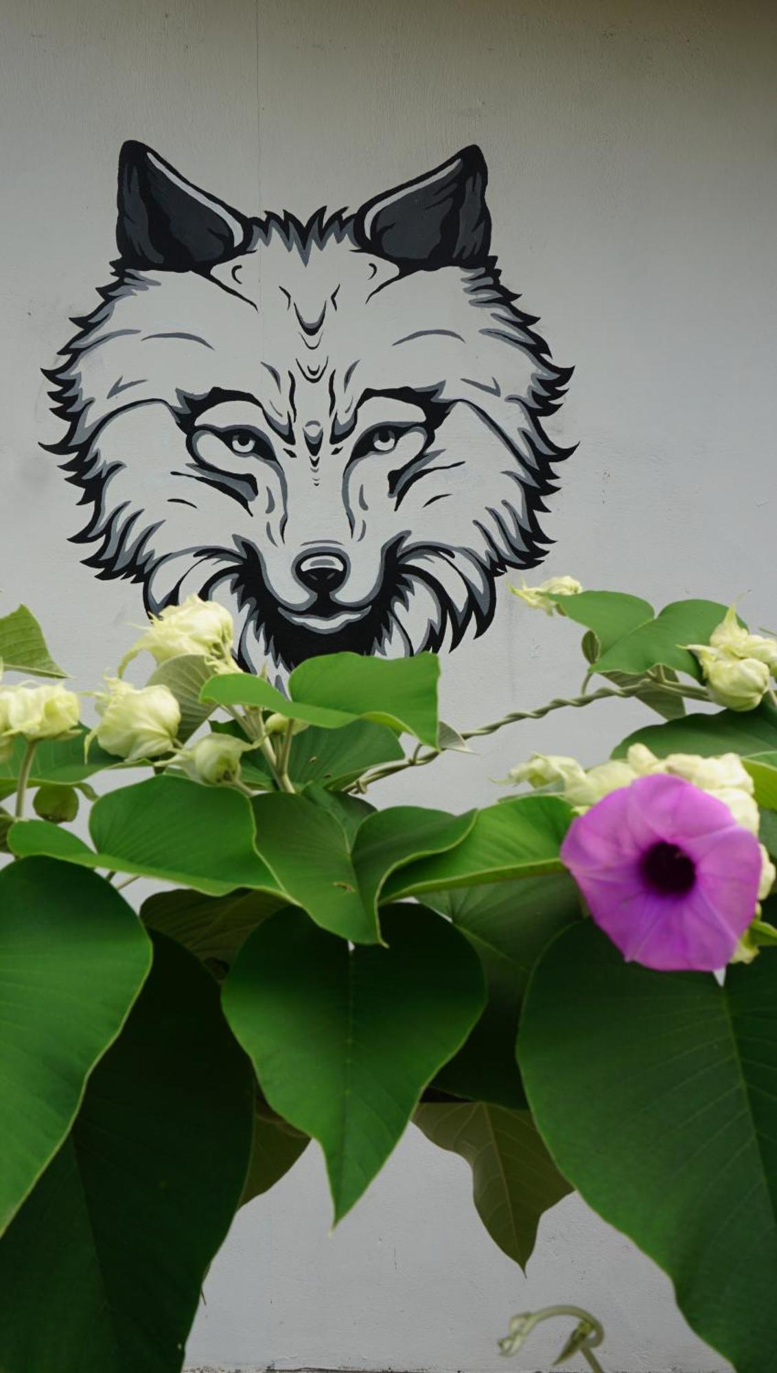 House Of Wolves Hostel Pantai Cenang  Esterno foto